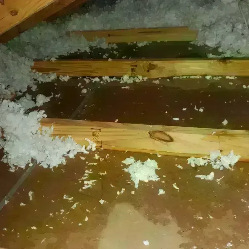 Attic Water Damage in Creighton, NE