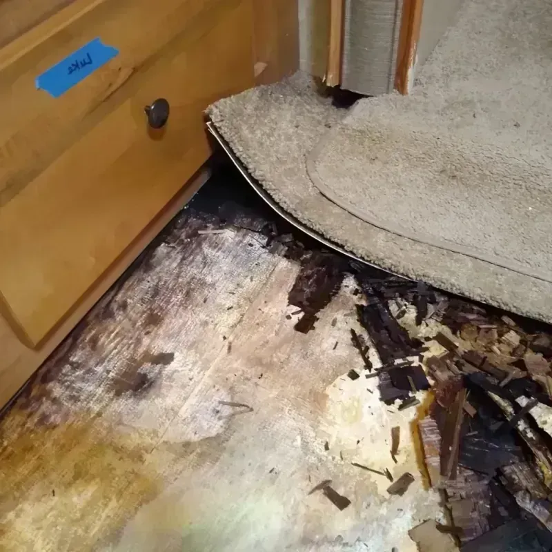 Wood Floor Water Damage in Creighton, NE